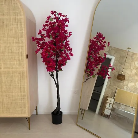 Residencia Mediterrania 3* Alghero