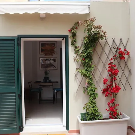 Residencia Mediterrania Alghero
