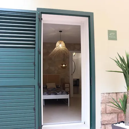 ゲストハウス Residencia Mediterrania アルゲーロ